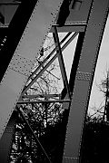 Wall_Art_Alphabet_Photography_Art_ 130